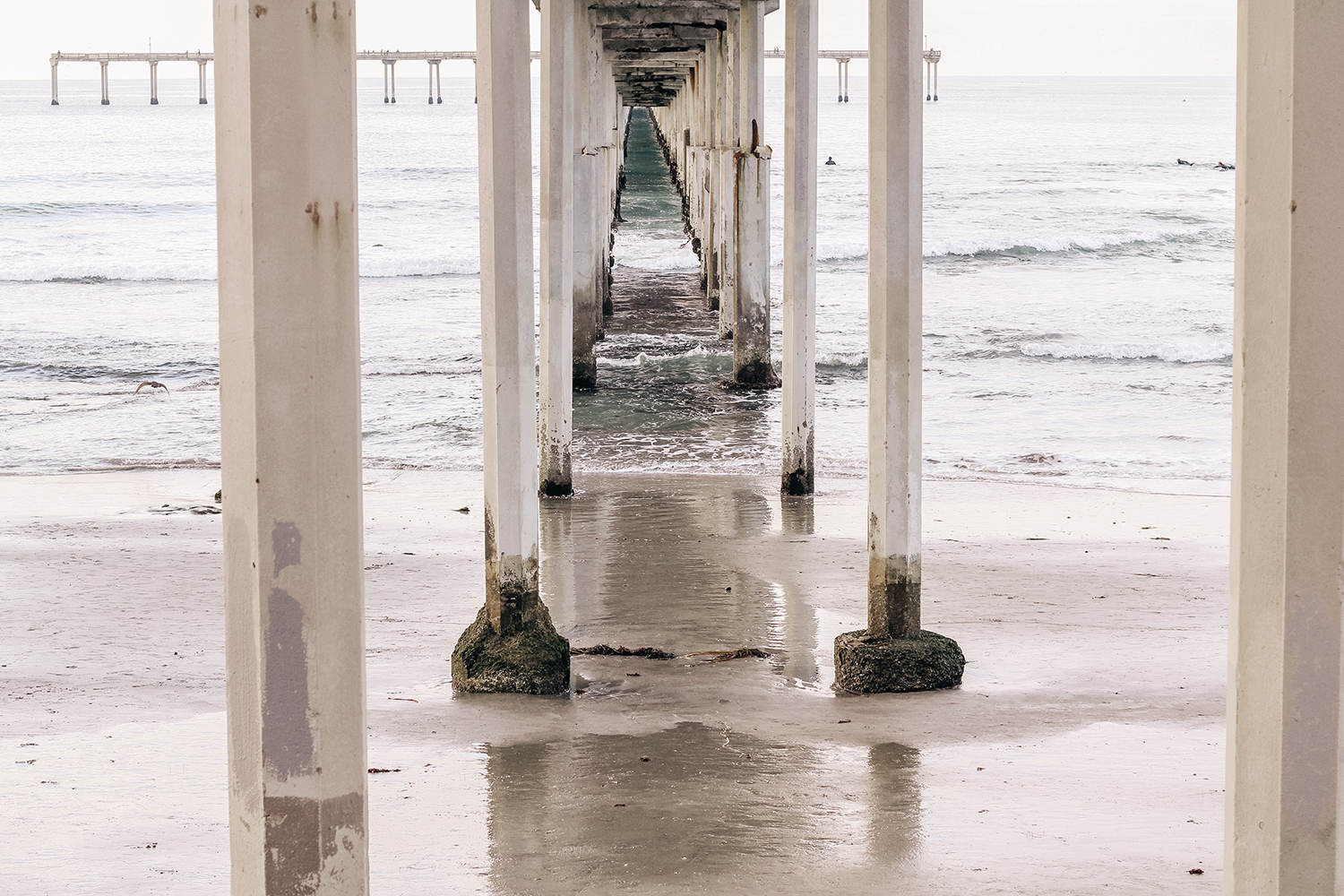 Ocean Beach Pier Photographer