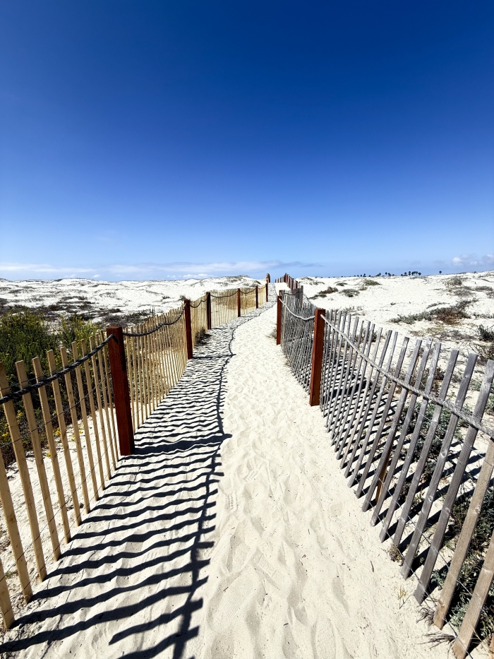 OB Sand Dunes